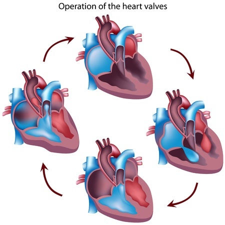 Операция на сердечном клапане