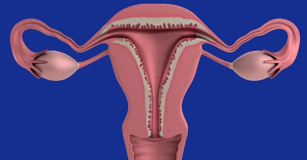 uterus 1089344 1920 Беременность